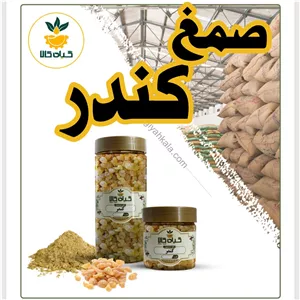 صمغ کندر خشک یا پودری بسته بندی