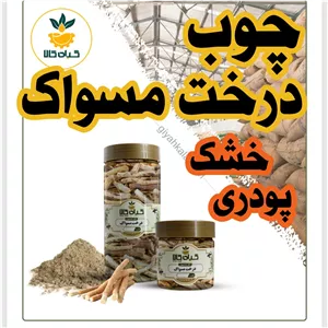  چوب درخت مسواک  