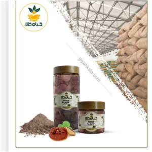  قارچ گانودرمای خشک یا پودری بسته بندی