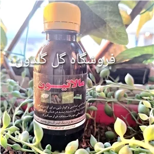 سم مالاتیون 100 سی سی. خالص درجه یک 