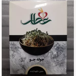 جوانه جو