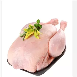 مرغ کامل تازه وکشتار روز کیلویی