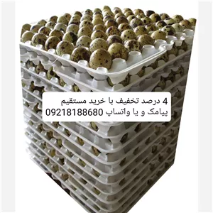 تخم بلدرچین 12 عددی یک کارتن مخصوص پخش 