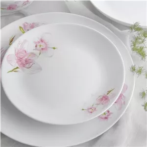 پیش دستی آرکوپال مارک گلدن اپال. 