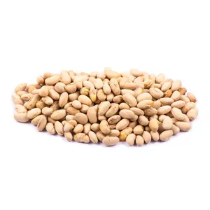 سویا آجیلی اعلا 
