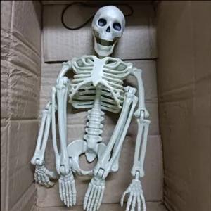 اسکلت مولاژ 40سانتی متر قد