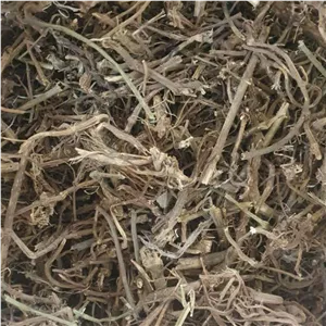 ریشه گزنه - 500 گرم 