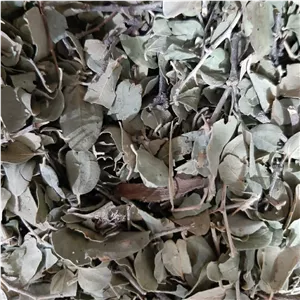 برگ سدر - 500 گرم