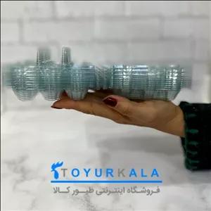 پک 780 تایی بسته بندی تخم بلدرچین (پس کرایه)