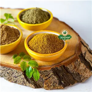 ادویه باربیکیو مخصوص 24 قلم (100گرمی) کارون 