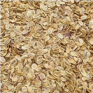 آنغوزه شیرین پاکان بذر اصفهان 
