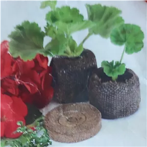 بستر کشت بذر و قلمه قرصی (متوسط )یک عدد 