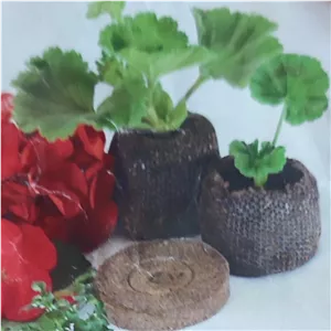 بستر کشت بذر و قلمه قرصی (سایز کوچک ) یک عدد 