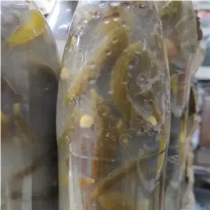 خیار شور