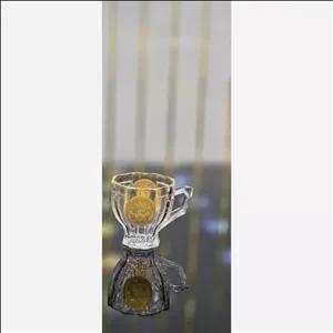 فنجان ورساچه لب طلا 