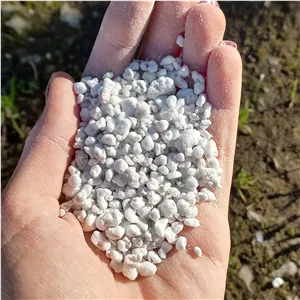 خاک پرلیت  بستر مناسب ریشه زایی (پسکرایه)