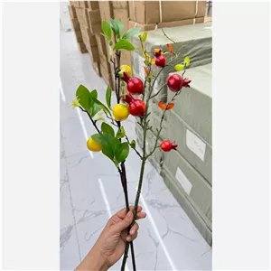 شاخه  انار وارداتی