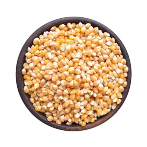 ذرت محلی خاتون - 300 گرم WZR