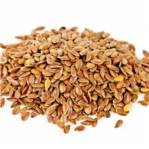غذای پرندگان مدل تخم بذرک وزن 500 گرم 5GP