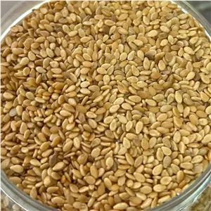 کنجددوآتیشه تنوری