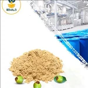 عصاره سپستان خشک (پودری)  100 گرمی با کیفیت عالی 