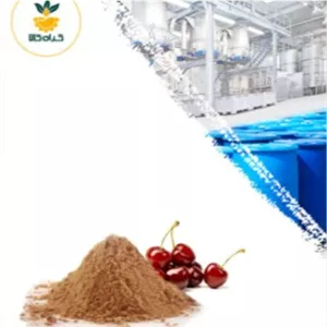 عصاره گیلاس خشک (پودری) 100 گرمی با کیفیت عالی