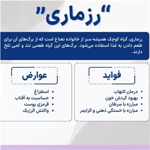رزماری خشک ارگانیک ،معطر و تازه 250 گرمی