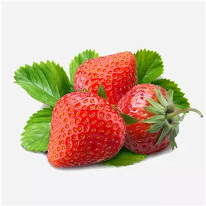 توت فرنگی مزرعه ای ارگانیک مرجوع بدون شرط تازه طبیعی به قیمت عمده خوشمزه تازه سرخ ابدار ترد ارزان