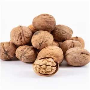 گردو کاغذی(500 گرم) گردو با پوست