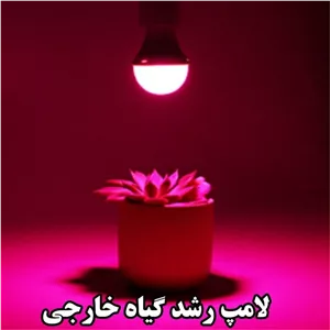 لامپ رشد گیاه حبابی 6وات- باکیفیت مطلوب و زاویه 240درجه مناسب رشد گیاهان