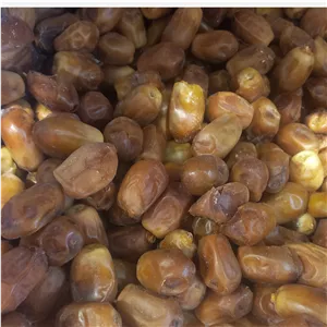 خرما زاهدی