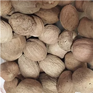 جوز هندی