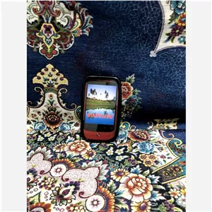 قاب HTC WILDFIRE G8  