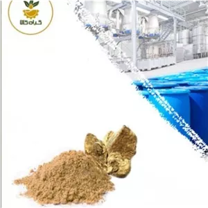 عصاره ریشه آنغوزه خشک (پودری) 100 گرمی با کیفیت عالی(درجه یک )