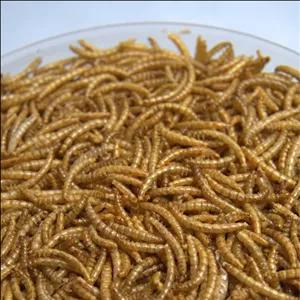 غذای خشک پرندگان مدل میلورم وزن 435 گرم