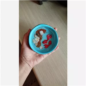 حوضچه ماهی