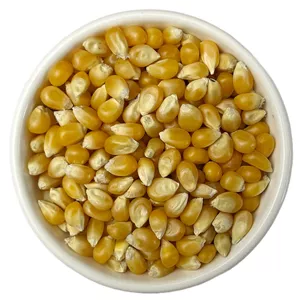 ذرت(شکوفه ای) 250 گرم