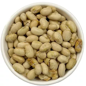 سویا آجیلی لیمویی 250گرم