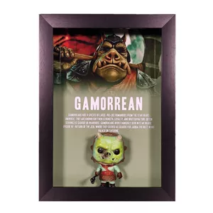 فانکو باکس گامورین Gamorrean از جنگ ستارگان Star Wars