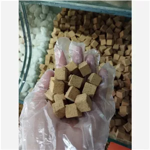 حبه سنجد