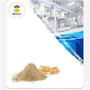 عصاره صمغ مرمکی خشک یا پودری 100 گرمی با کیفیت عالی
