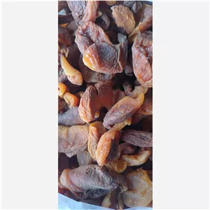  برگه زردآلو نیمه دودی نیم کیلو