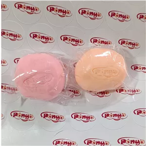 خمیر شب تاب (فسفرسنت) هواخشک 50 گرم 