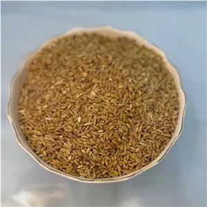 گندم مرغی