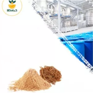 عصاره جینسینگ قرمز خشک یا پودری 100 گرمی با کیفیت عالی(درجه یک )