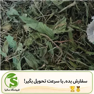 برگ کاسنی ارگانیک عطاری ساتیا 50 تا 1000 گرمی تازه