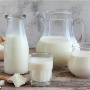 شیر اسب ارگانیک خوراکی 0.5 لیتری با خلوص کامل