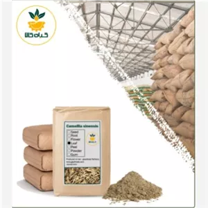 پودر چای سفید خشک فله با کیفیت عالی