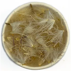 خار مریم (گیاه) 30 گرم