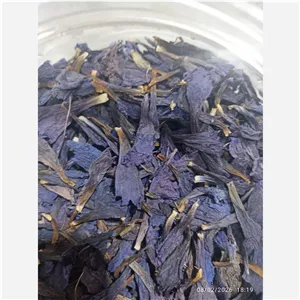 گل گاوزبان